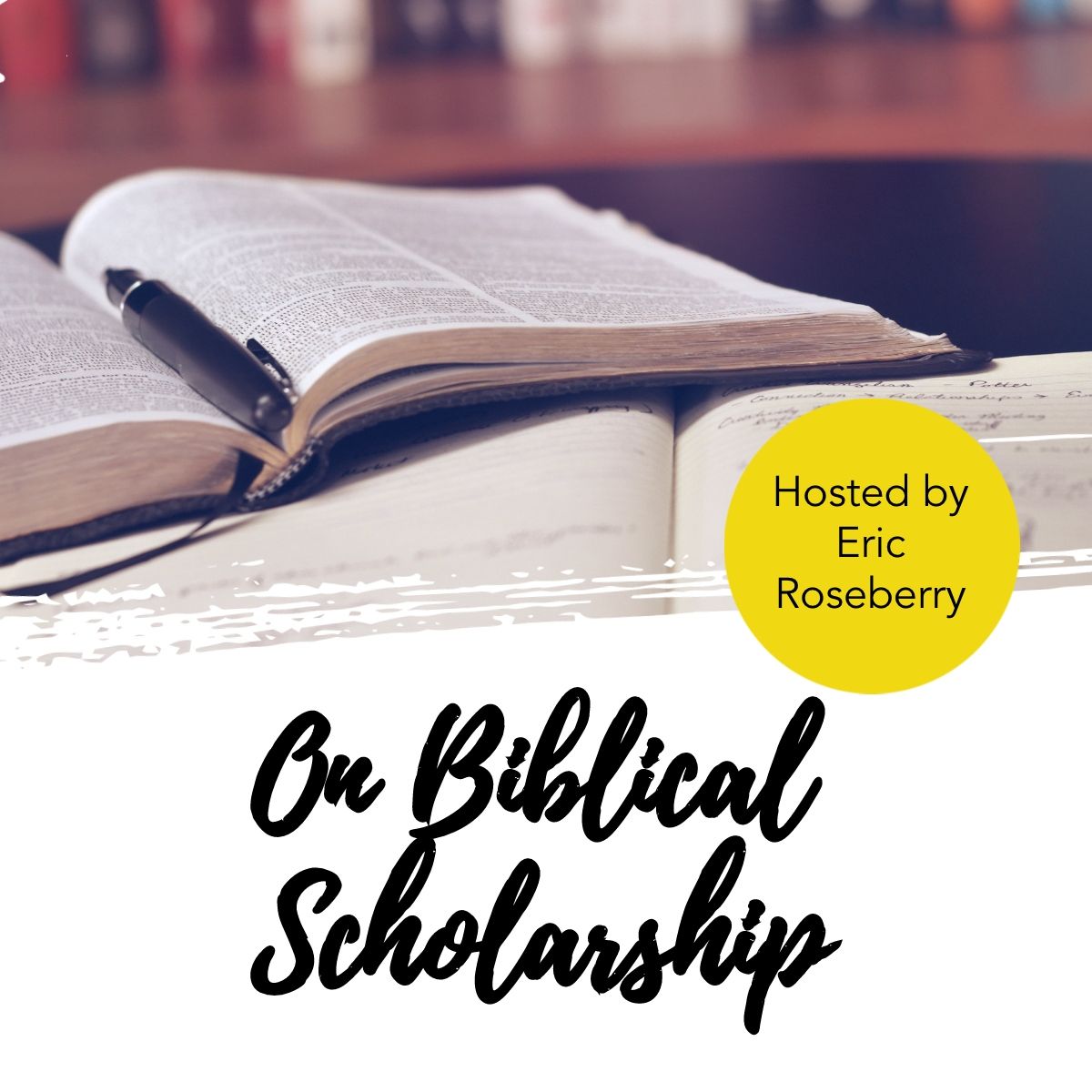 interviewed-for-on-biblical-scholarship